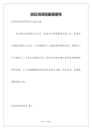 2024共同还款承诺书_6