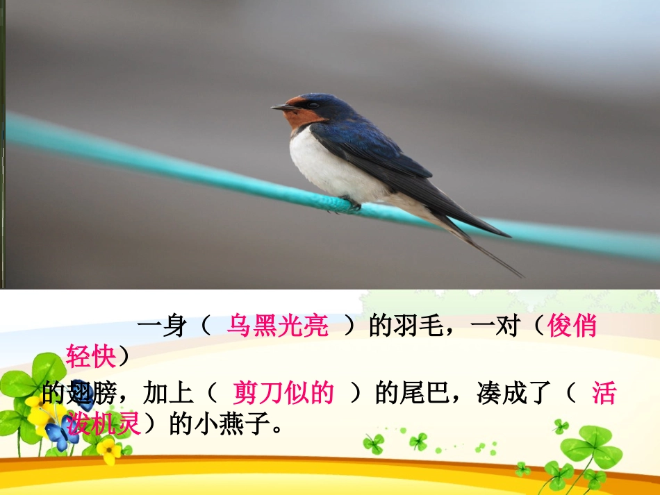 人教版小学语文三年级下册《燕子》课件_第2页