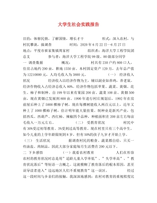 大学生社会实践报告 (000001)