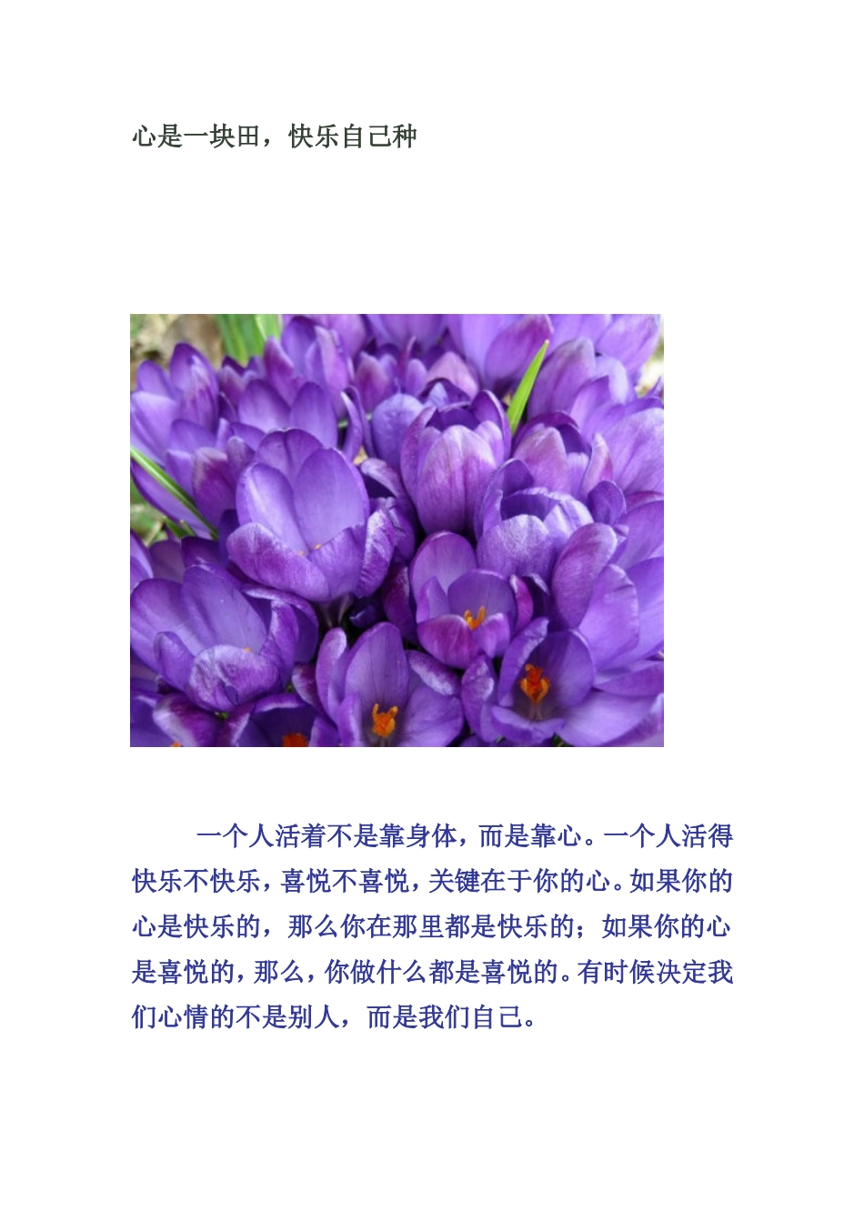 心是一块田，快乐自己种_第1页