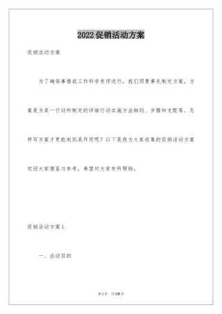 2024促销活动方案_138