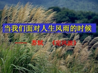 莫听穿林打叶声