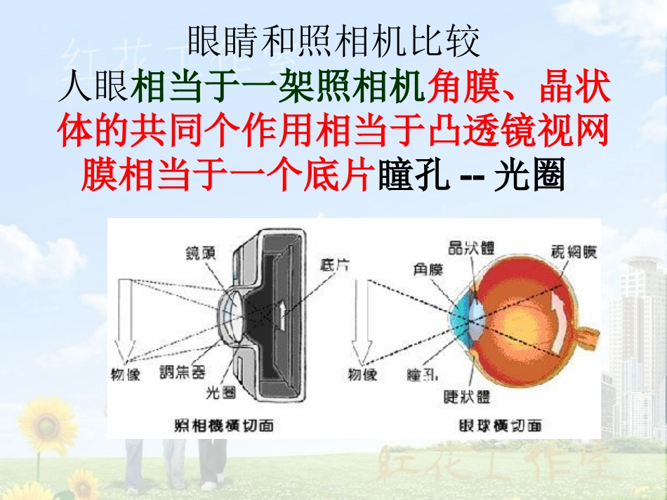人教版《34眼睛与眼镜》课件_第3页