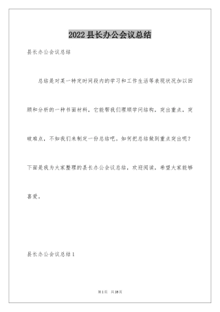 2024县长办公会议总结