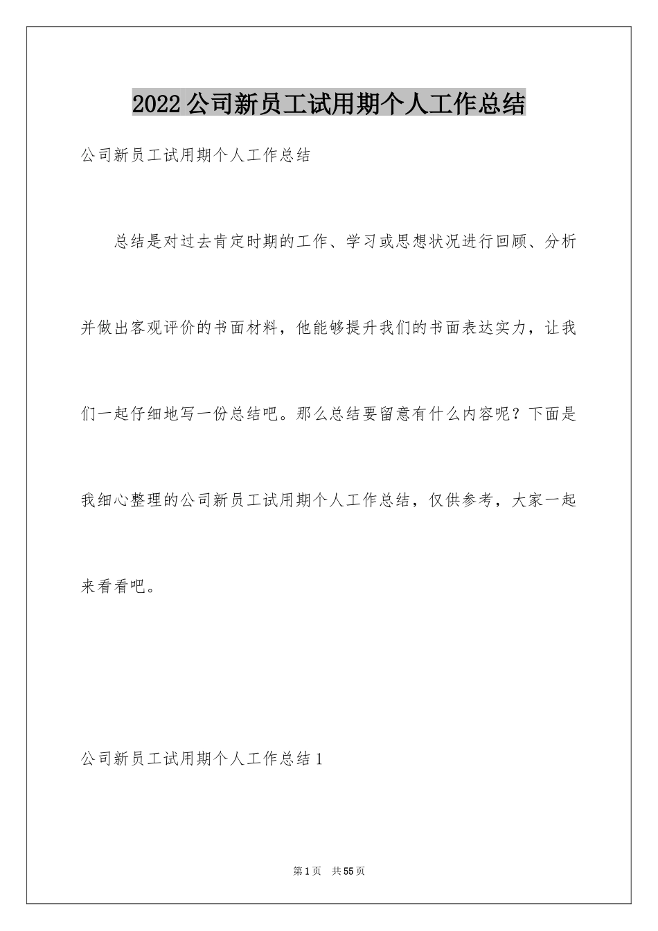 2024公司新员工试用期个人工作总结_第1页