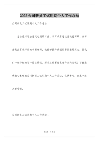 2024公司新员工试用期个人工作总结