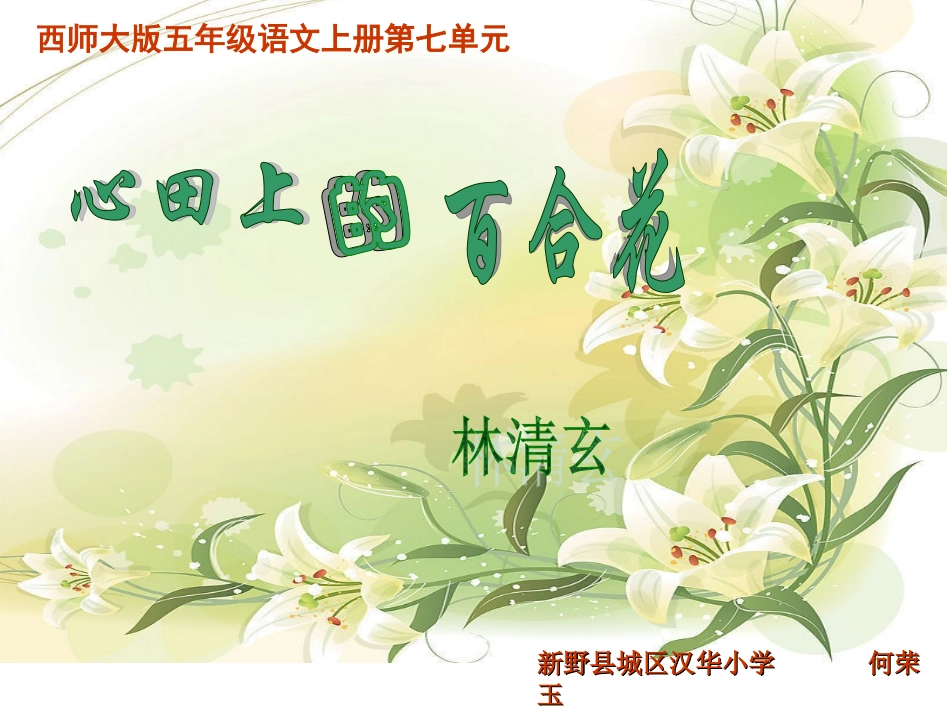 。心田上的百合花_第1页