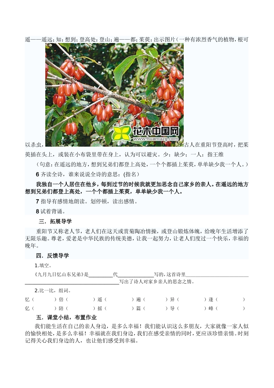九月九日忆山东兄弟教案_第3页