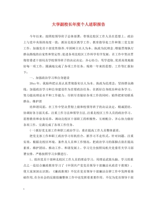 大学副校长年度个人述职报告 