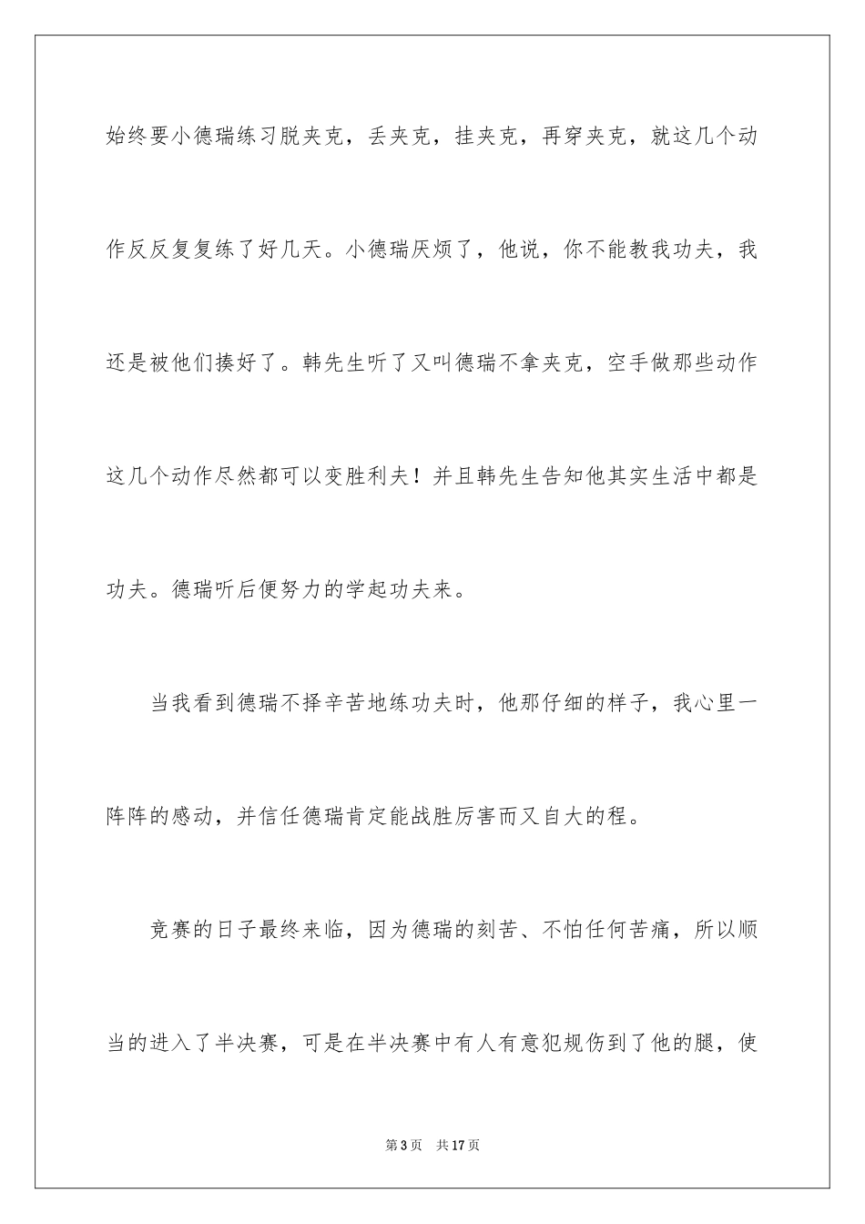 2024《功夫梦》观后感_1_第3页