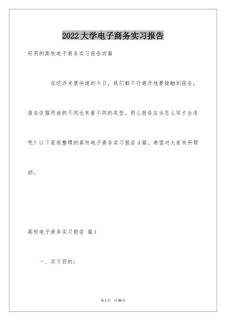 2024大学电子商务实习报告