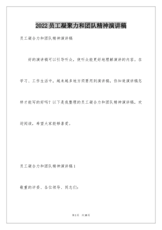 2024员工凝聚力和团队精神演讲稿_1