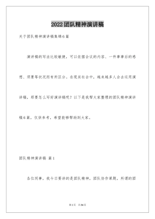2024团队精神演讲稿_316
