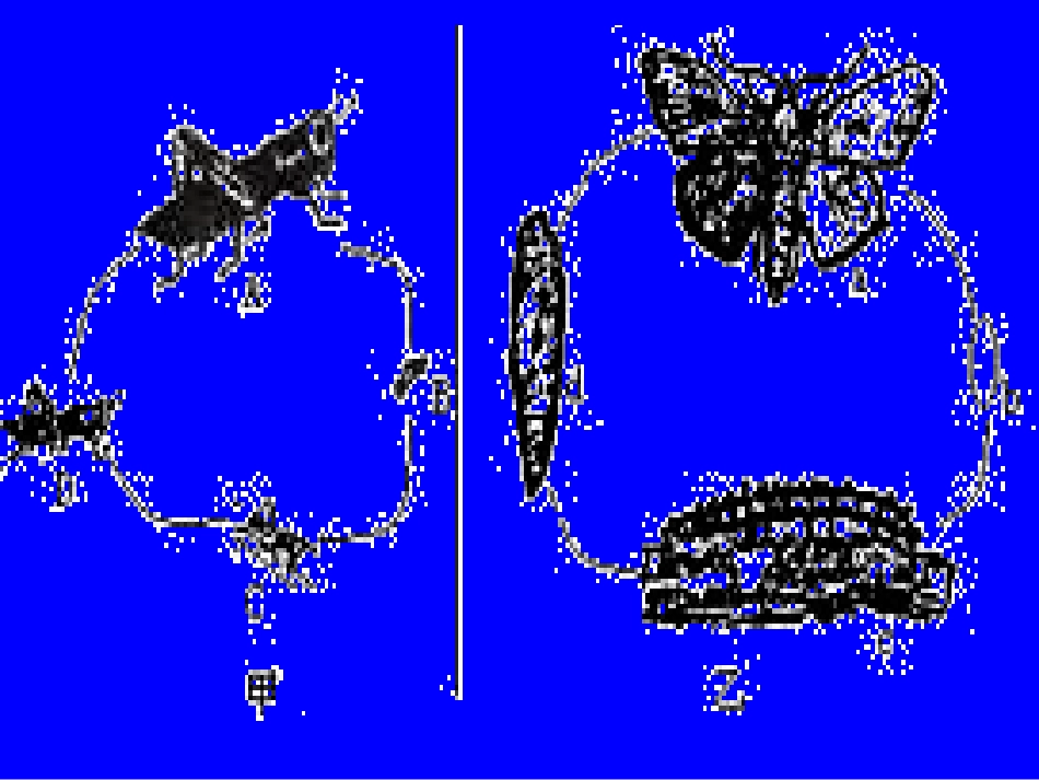 八年级生物下册第七单元第一章第三节两栖动物的生殖和发育_课件_第3页