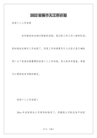 2024安保个人工作计划