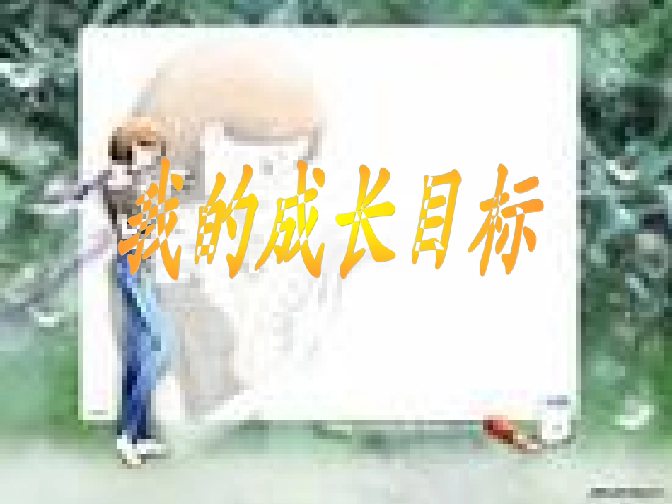 《我的人生目标》主题班会_第1页