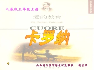 卡罗纳 (2)