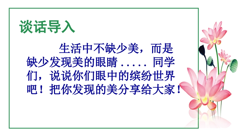 我眼中的缤纷世界_第1页