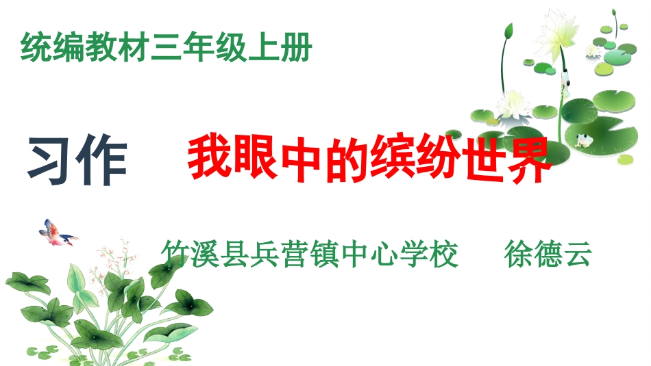 我眼中的缤纷世界_第2页