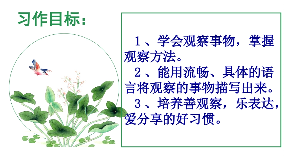 我眼中的缤纷世界_第3页