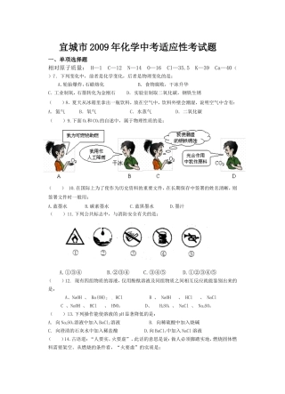 宜城市2009年中考适应性考试试题