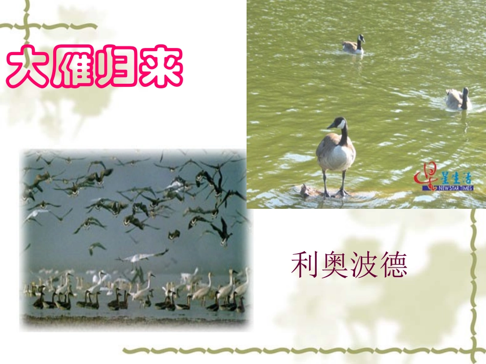 大雁归来 (2)_第1页