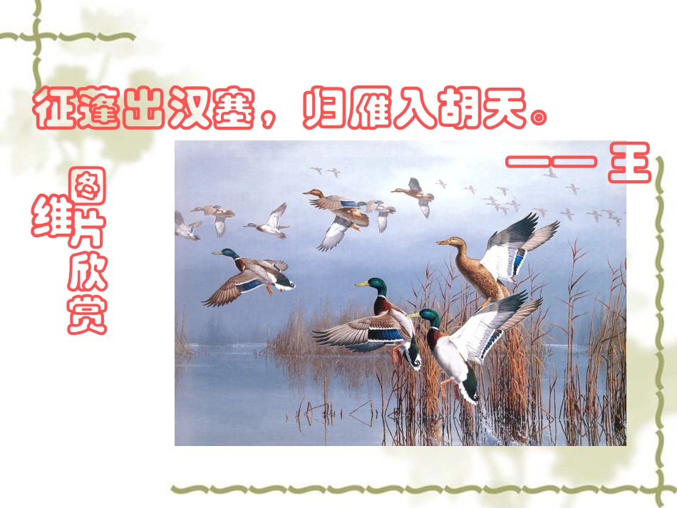 大雁归来 (2)_第2页