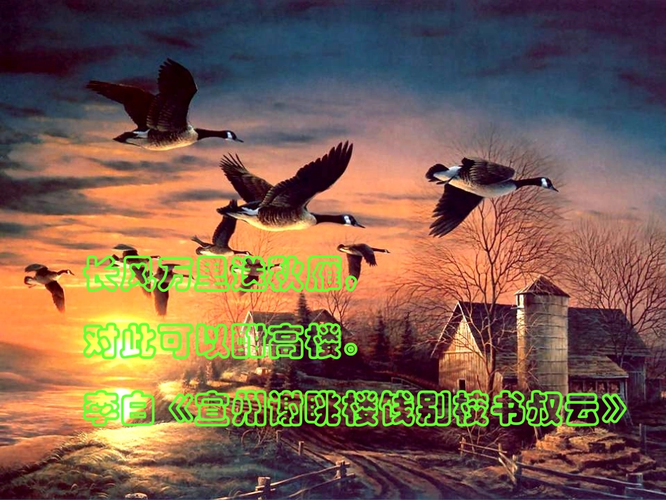 大雁归来 (2)_第3页