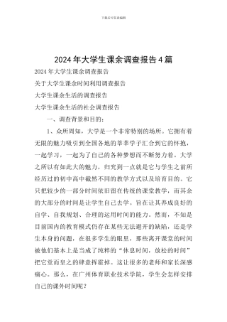 2024年大学生课余调查报告4篇