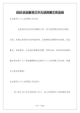 2024企业新员工个人试用期工作总结