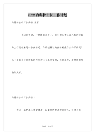2024内科护士长工作计划