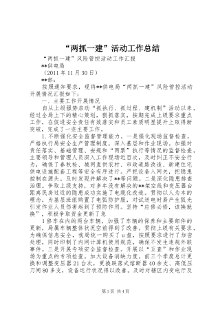 “两抓一建”活动工作总结 