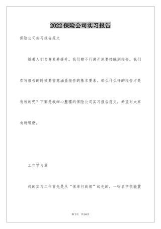 2024保险公司实习报告_6