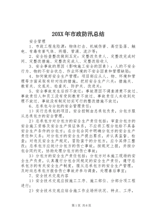 20XX年市政防汛总结 (5)