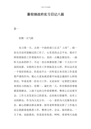 暑假镇政府实习日记八篇