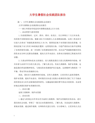 大学生暑假社会实践团队报告 (000002)