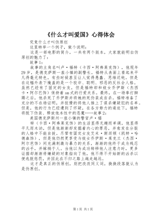 《什么才叫爱国》体会心得