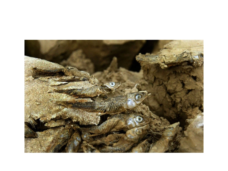 节约用水课件2_第3页