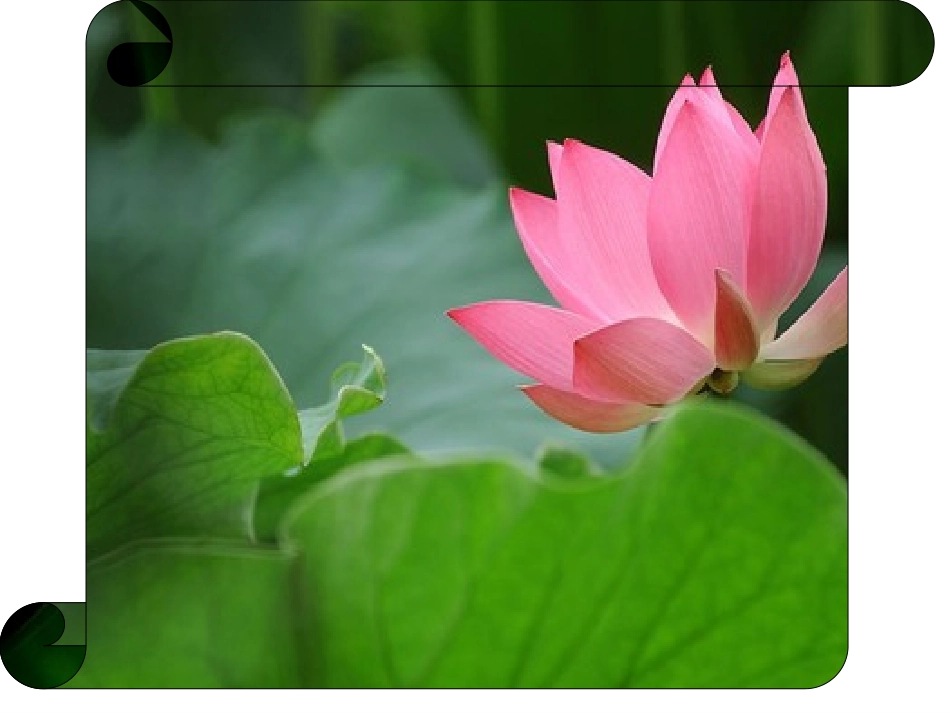 小池古诗课件_第2页