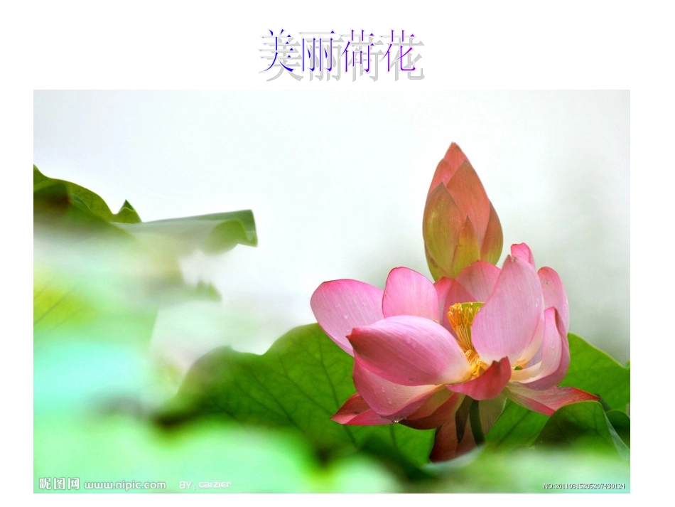 小池古诗课件_第3页