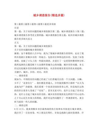 城乡调查报告(精选多篇) 