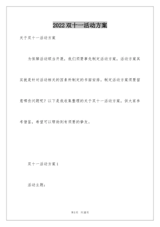 2024双十一活动方案_2