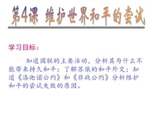 维护和平的尝试
