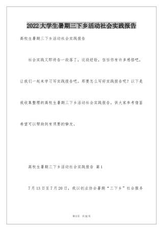 2024大学生暑期三下乡活动社会实践报告