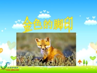《金色的脚印》PPT课件之四