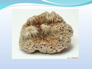 各种各样的岩石MicrosoftPowerPoint幻灯片