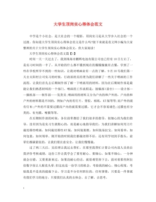 大学生顶岗实心得体会范文 