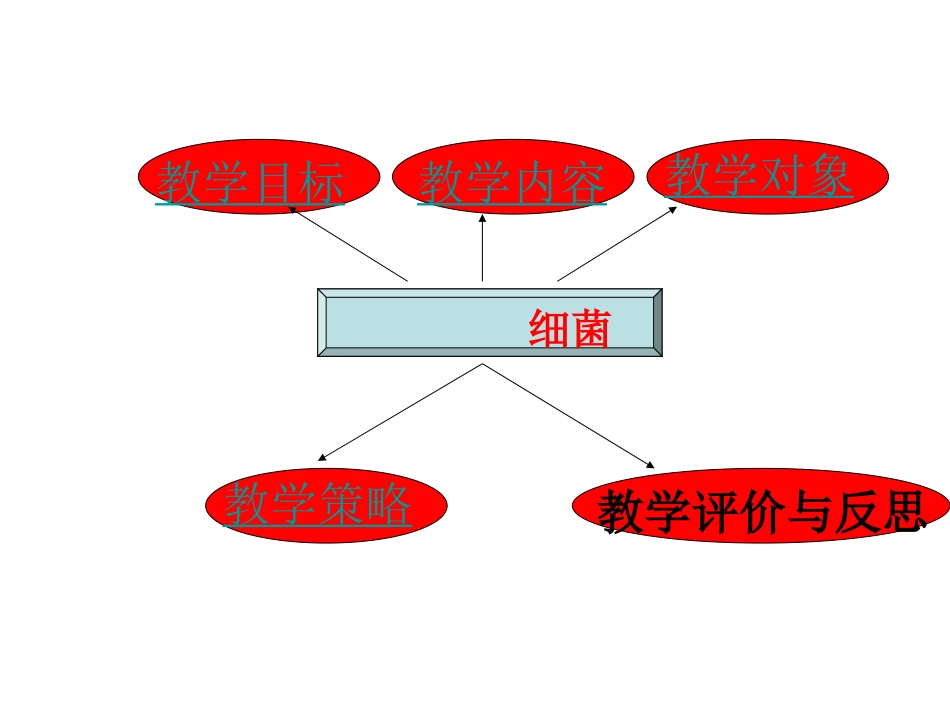 《细菌》说课课件_第2页