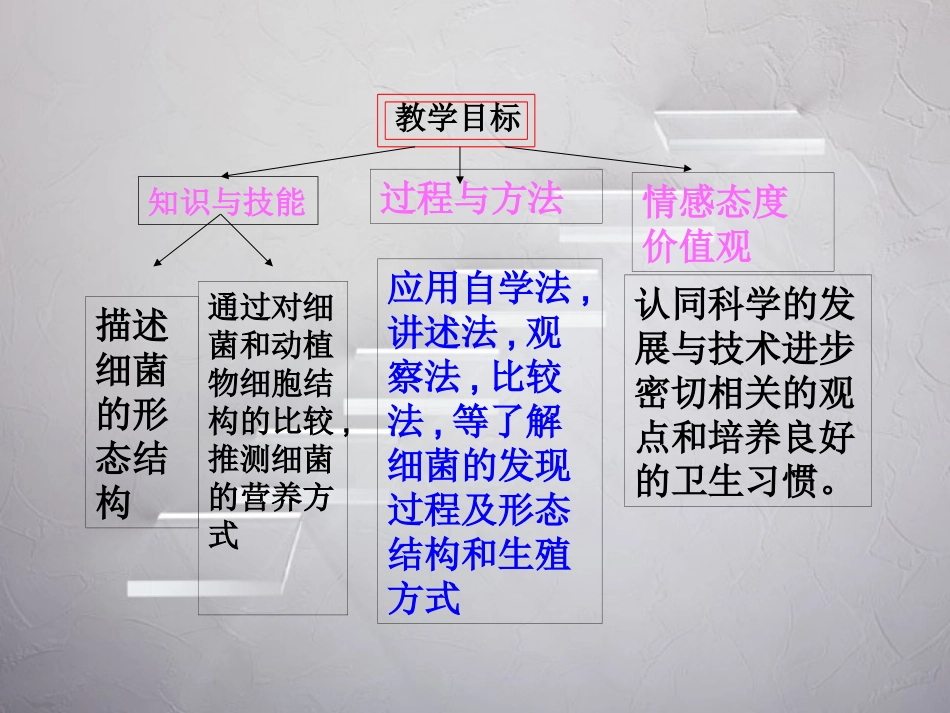 《细菌》说课课件_第3页