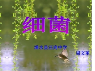 《细菌》说课课件